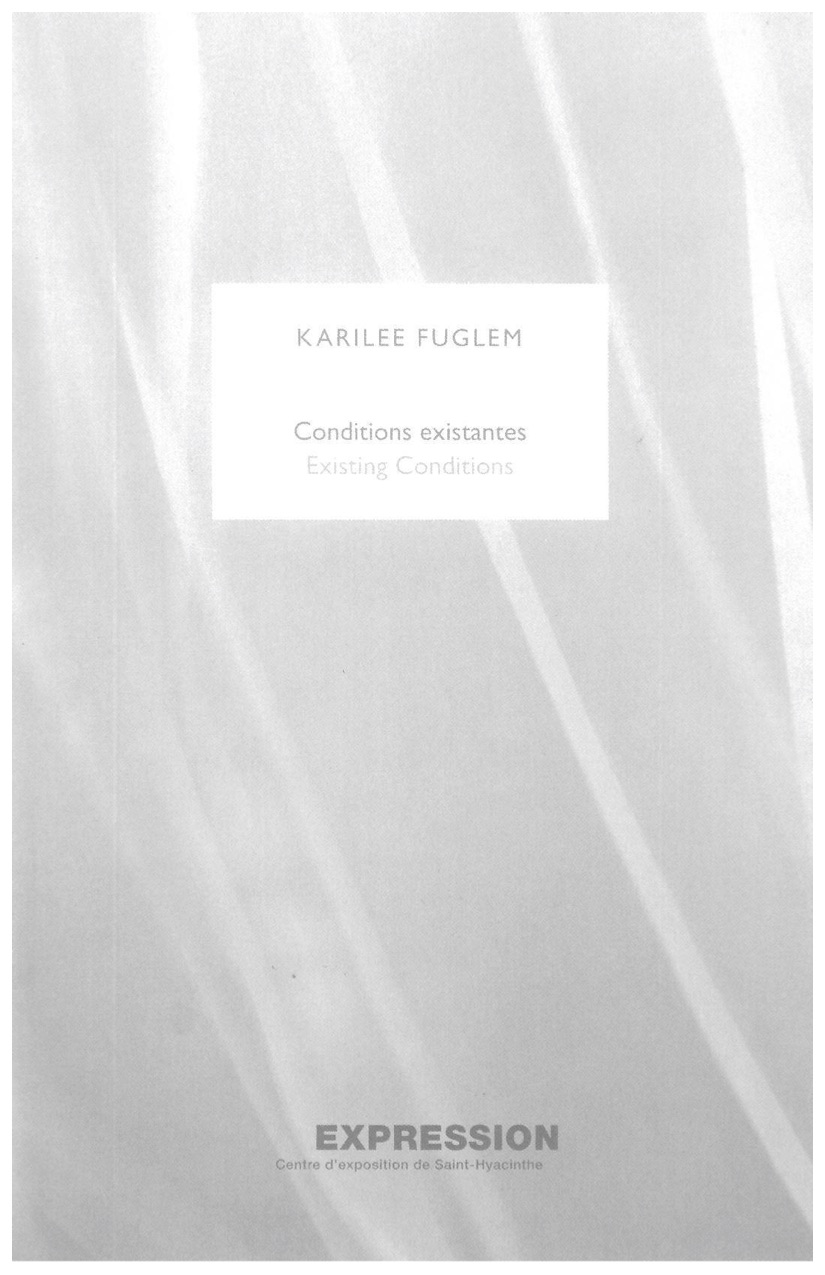 Conditions existantes / Existing Conditions
