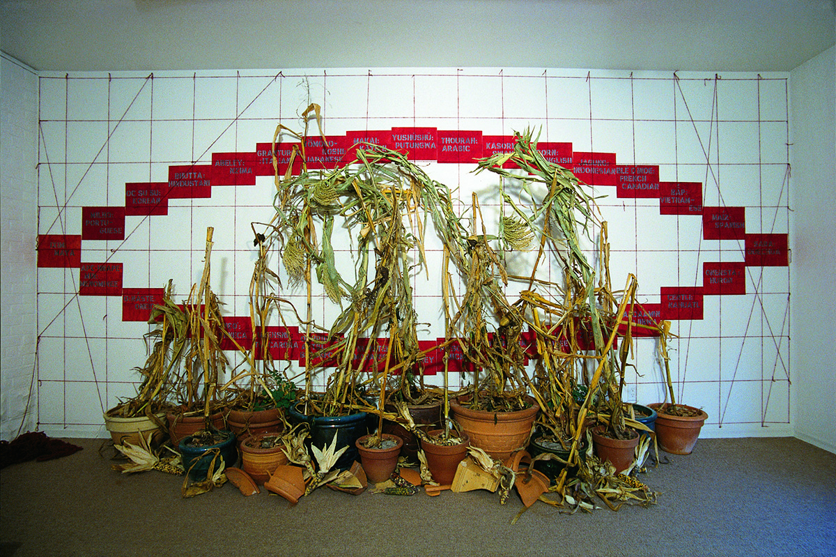 Ron Benner. <em>Trans/mission : Corn Vessels</em>, 1997-1998. Installation. © John Tamblyn