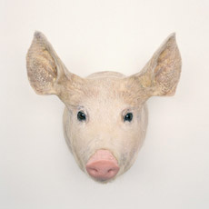 Kim Waldron, <em>Pig Head</em>, série <em>Beautiful Creatures</em>, 2011. Impression jet d’encre, 61 x 61 cm. © Kim Waldron