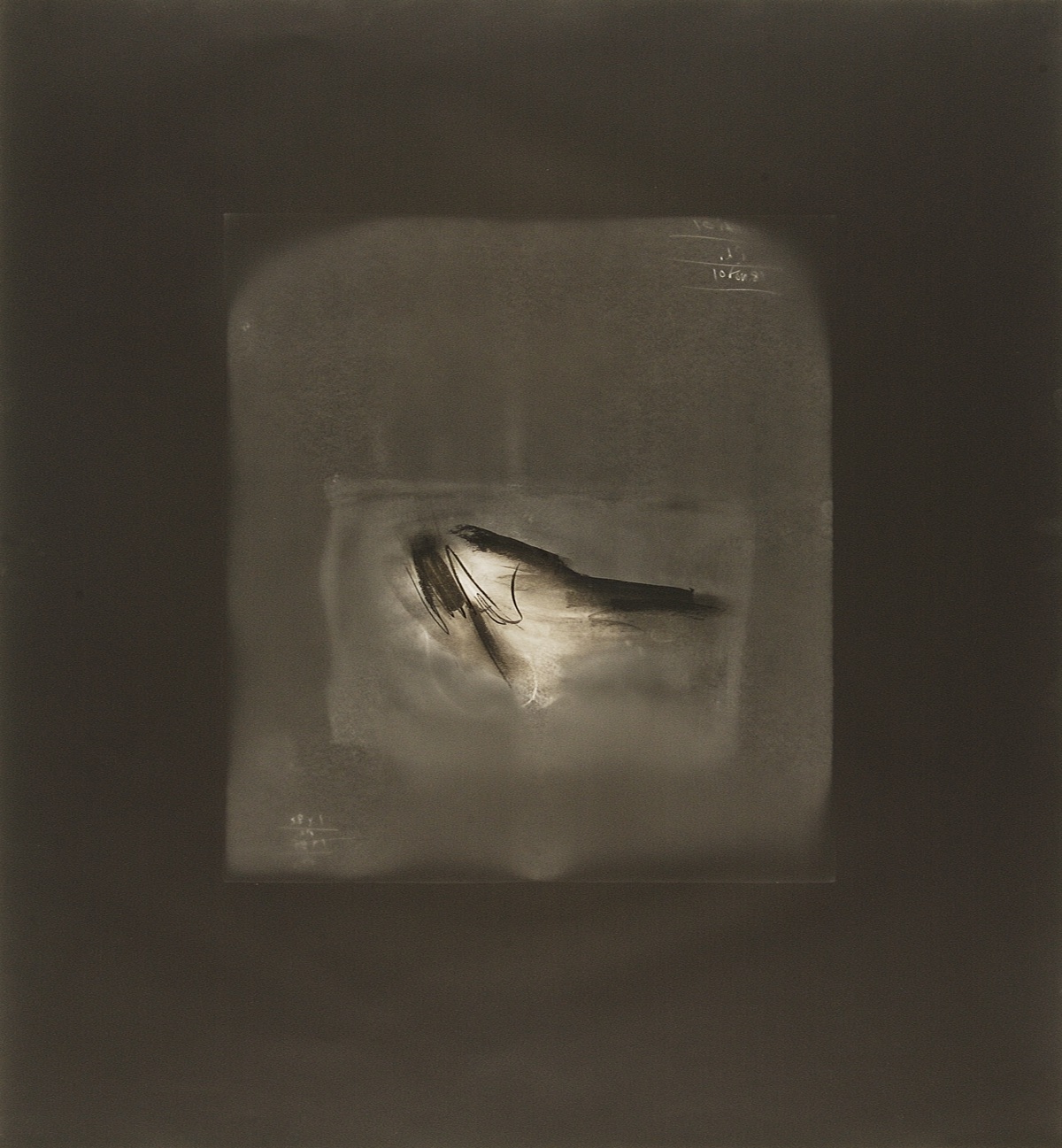 Paul Lacroix. <em>Sans titre</em>, 1979, 1985, 1988, 2003. Photogramme sur papier baryté, graphite. 114 x 104 cm. © Serge Lacroix