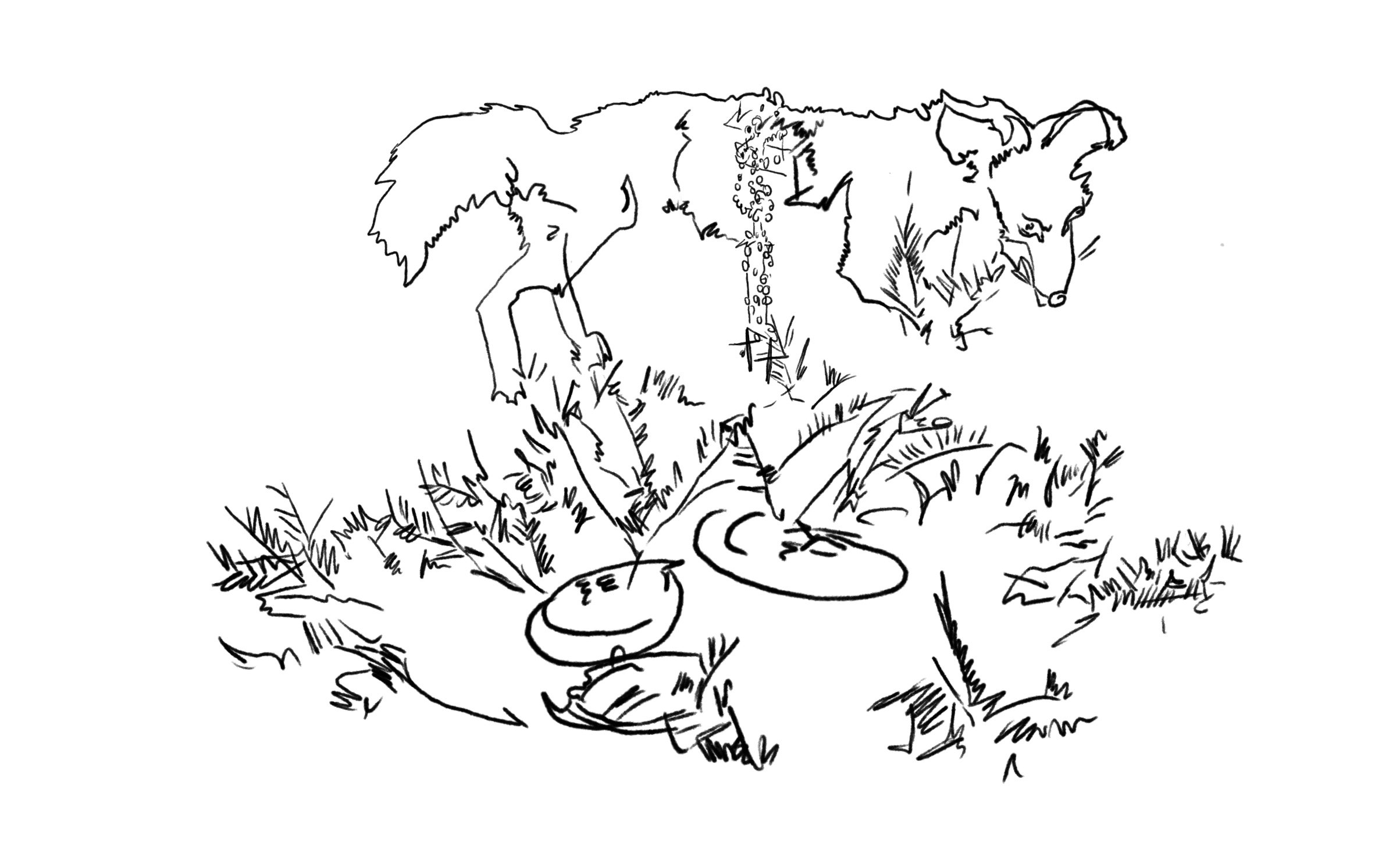 Regarder autrement : expérience de Slow art