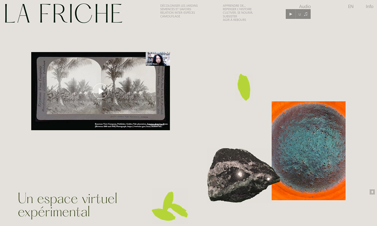 Site web LA FRICHE, espace virtuel expérimental